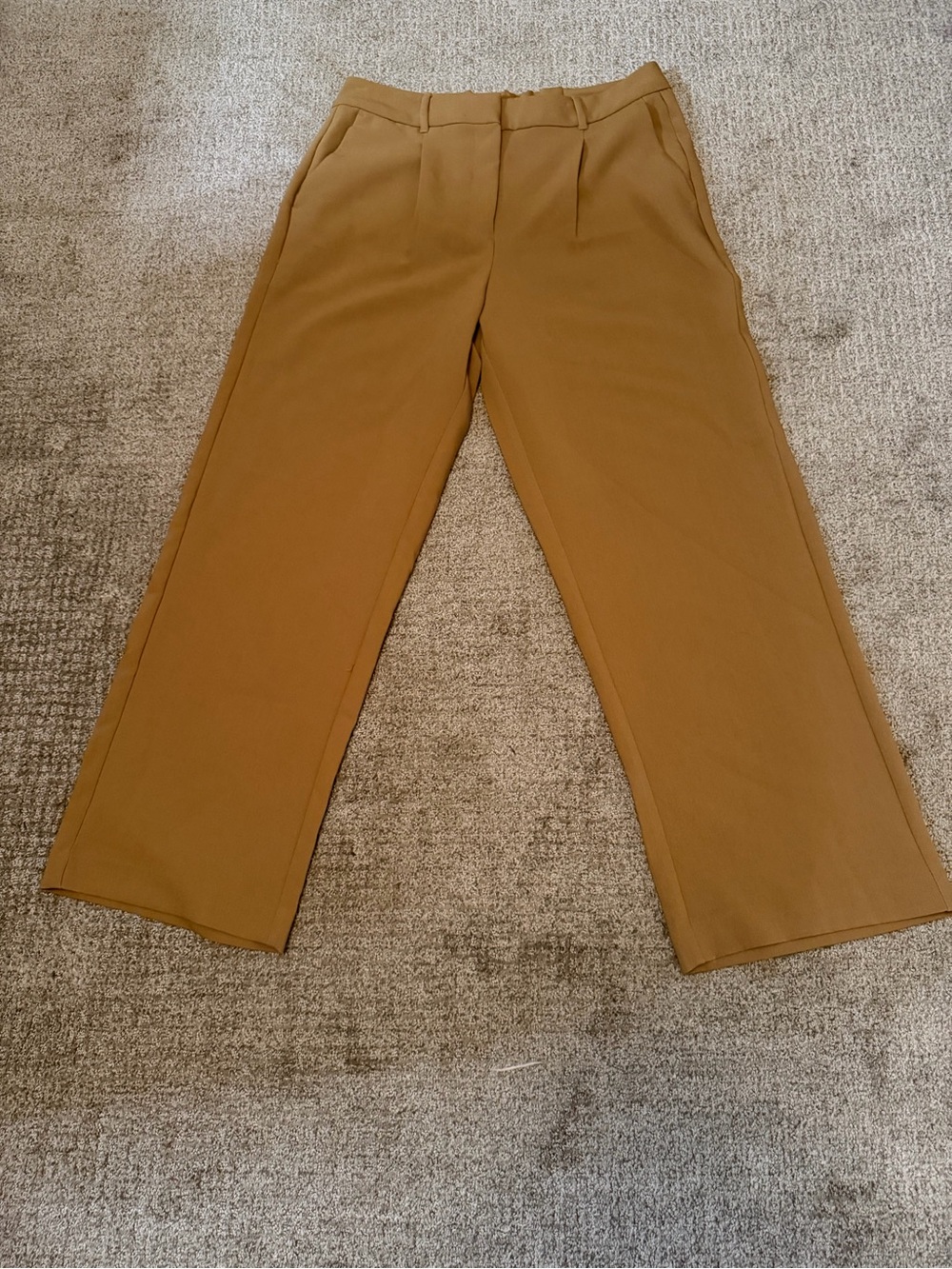Womens Taylor Wide Leg Trouser Pants - Brown